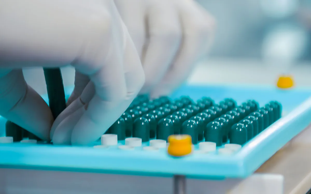 Manos con guantes acomodando cápsulas en una bandeja de laboratorio